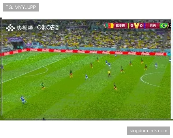 奥地利世界杯小组赛总结:补时进球改变排名